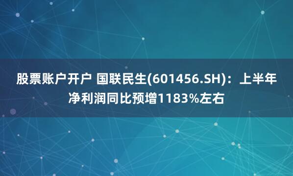 股票账户开户 国联民生(601456.SH)：上半年净利润同比预增1183%左右