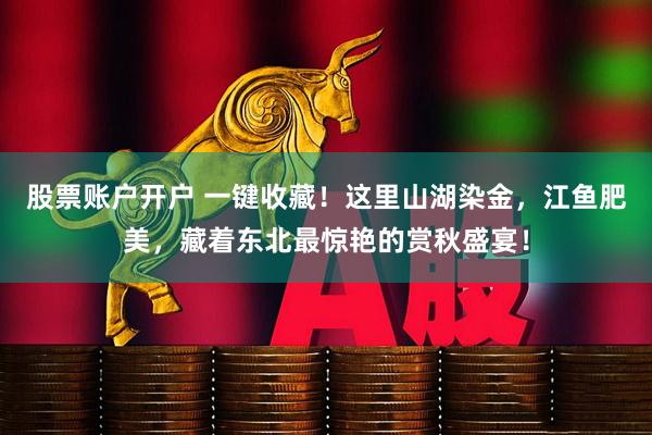股票账户开户 一键收藏！这里山湖染金，江鱼肥美，藏着东北最惊艳的赏秋盛宴！